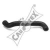 CAUTEX 035021 Radiator Hose